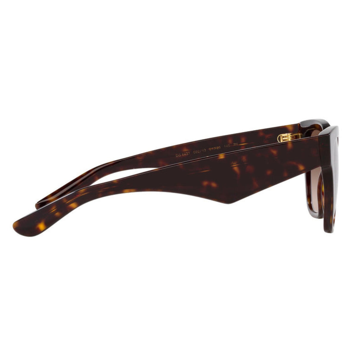Dolce & Gabbana DG4437 havana cat-eye sunglasses, side view of the temple