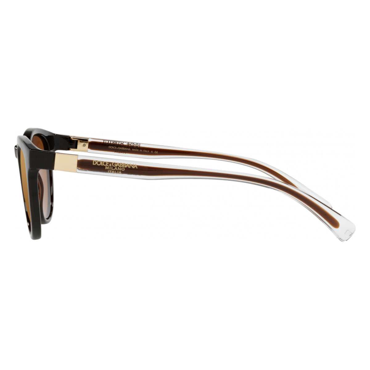 Dolce & Gabbana DG6148 transparent tobacco round sunglasses, side view of the temple