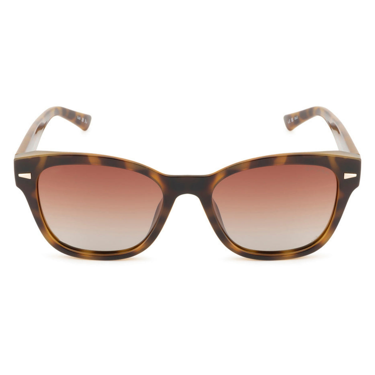 Opium OP10298 brown wayfarer sunglasses, full-rim plastic frame