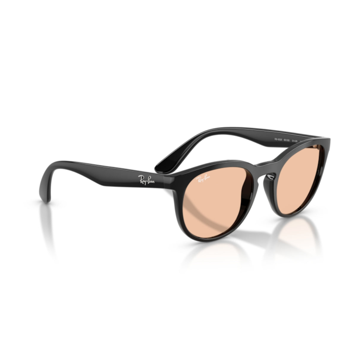 Ray-Ban RB4252 black round sunglasses, angled view