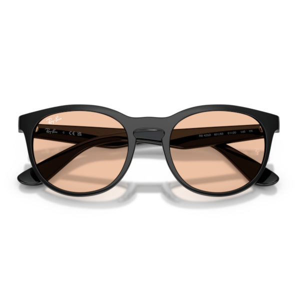 Ray-Ban RB4252 601/93 Black Round Sunglasses